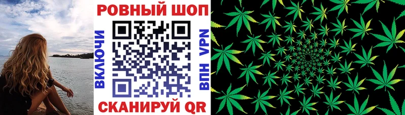 Купить наркотики сайты Шарья Псилоцибиновые грибы Меф ГАШИШ Конопля