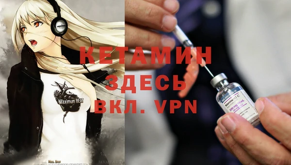 a pvp Новозыбков