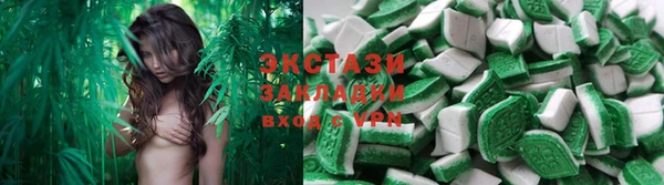 a pvp Новозыбков