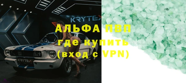 a pvp Новозыбков