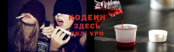 a pvp Новозыбков