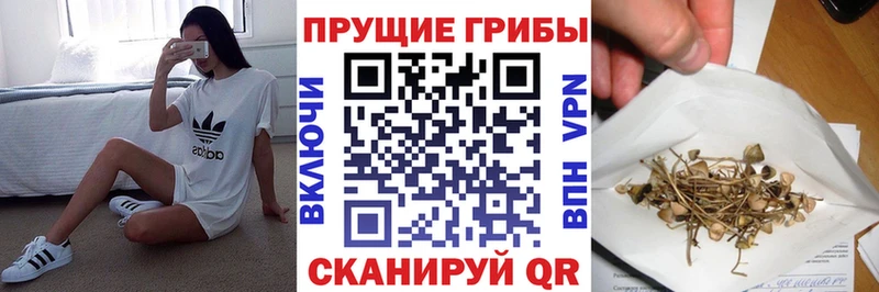 Псилоцибиновые грибы мицелий  Шарья 